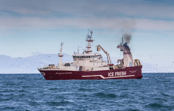 Nave da pesca pelagica — Foto Stock