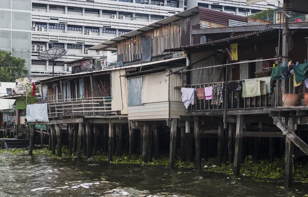 evler Stilts Bangkok Nehri boyunca.