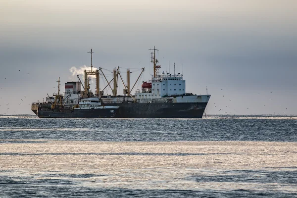 balıkçı teknesi catch balık işleme tabanına deniz aşırı yüklüyor