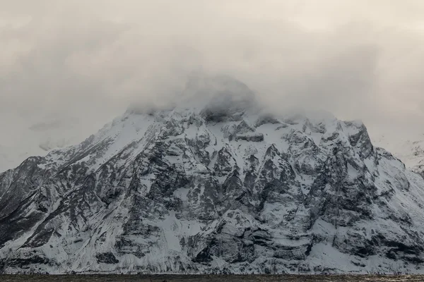 Tempesta di neve in montagna in inverno — Foto Stock