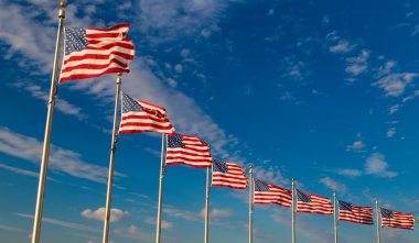 Amerikan bayrakları, Washington Dc, ABD kürek