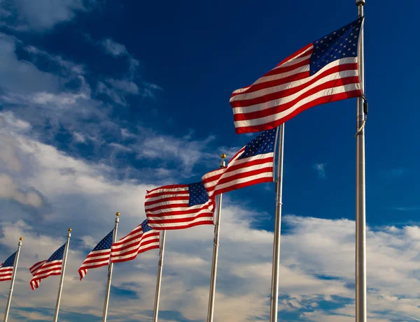 Fila banderas americanas, Washington DC, EE.UU. — Foto de Stock