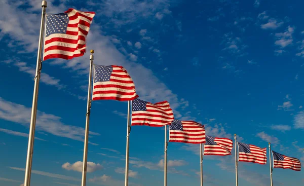 Amerikan bayrakları, Washington Dc, ABD kürek