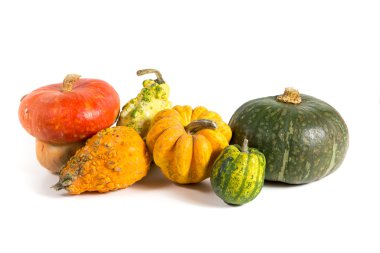 Sonbahar - beyaz arka plan üzerinde dekoratif kabaklar