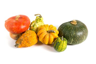 Sonbahar - beyaz arka plan üzerinde dekoratif kabaklar