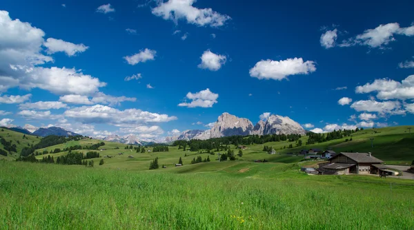 Panorama do Grupo Sella, Dolomiti, Trentino — Fotografia de Stock