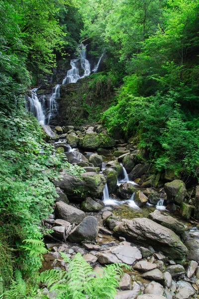 Torc waterval in killarney national park, Ierland Rechtenvrije Stockfoto's