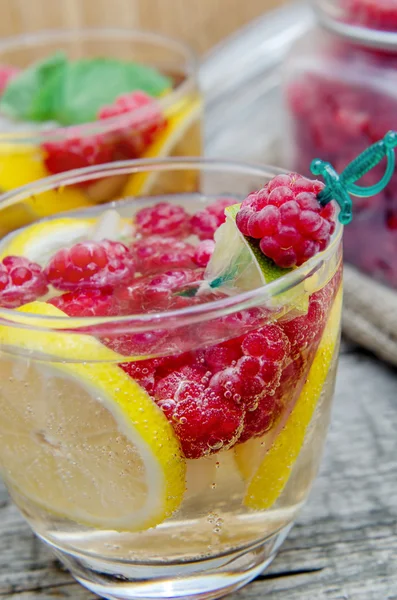 Склянка ігристої води з лимоном і малиною — стокове фото