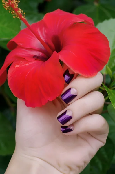 女人的手闪耀紫色修指甲 — 图库照片