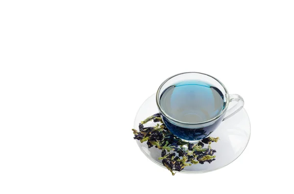 Cup of blue flower tea on white background — Stock Photo, Image