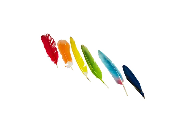 Colored feathers on white background — Stock Photo, Image