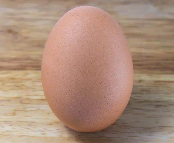 A Chicken Egg — Stock Photo, Image