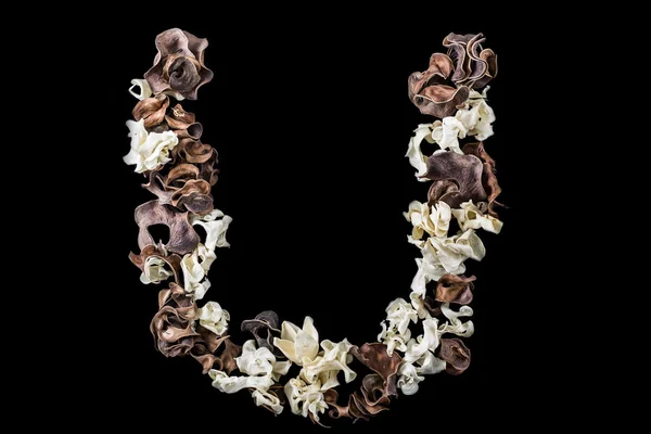 Το γράμμα U κατασκευασμένα από αποξηραμένα βότανα και φυτά που έχουν απομονωθεί — Φωτογραφία Αρχείου