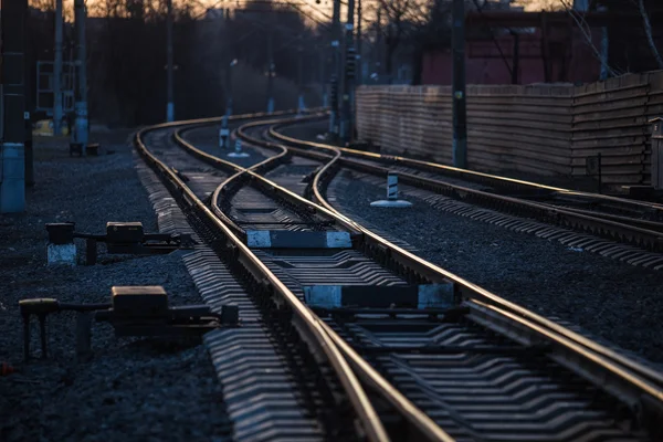 Skenor med selektiv fokus — Stockfoto