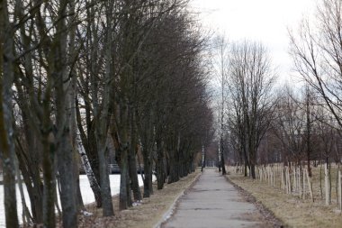 kasvetli gri erken Bahar sokak