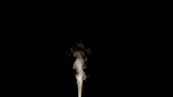 黒い隔離された白い煙が — ストック動画