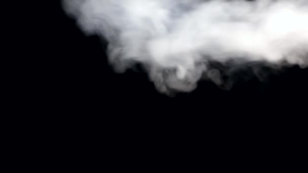 Bílý kouř na černé izolované — Stock video