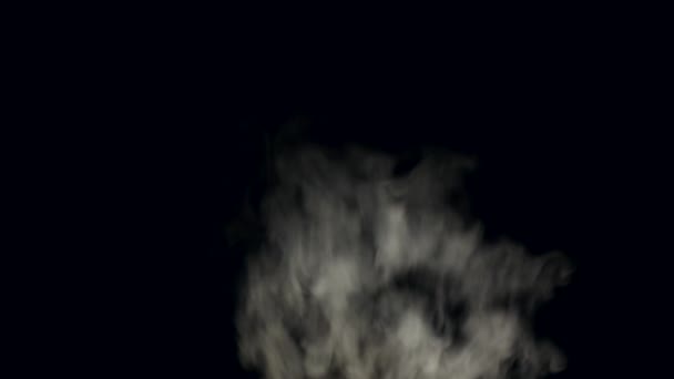 Белый дым на черном изолированы — стоковое видео