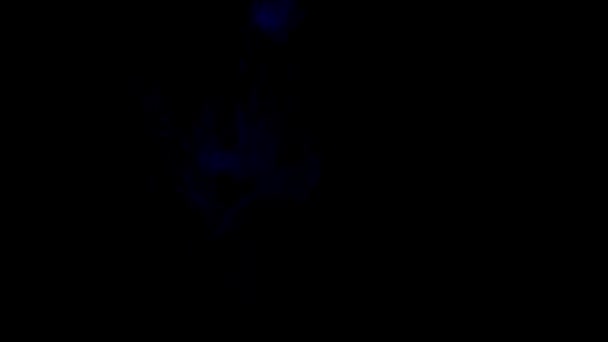 Fumée bleue sur noir isolé 