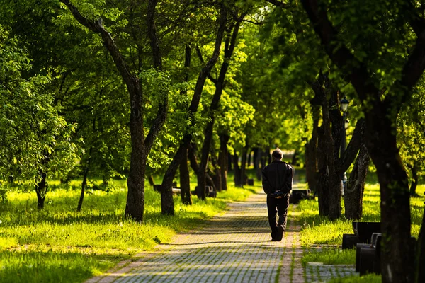 Homem solitário vai embora na estrada entre as árvores — Fotografia de Stock