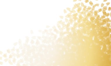 Bu kiraz arka plan bir örnektir.