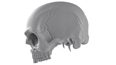 Açık renkli kafatasında