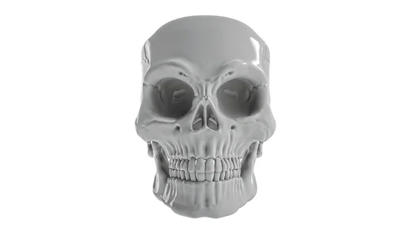 El cráneo sobre fondo claro — Foto de Stock