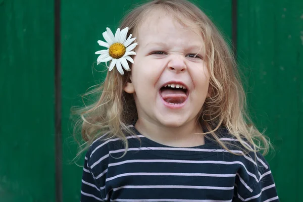 彼女の髪にカモミールの花を持つ 2 歳顔をゆがめた金髪少女の頭と肩の肖像画 — ストック写真