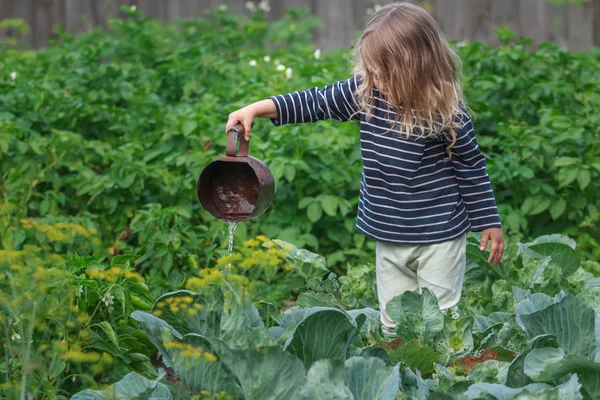 Piccola ragazza bionda annaffiare piante di pepe sul letto verde giardino estivo — Foto Stock