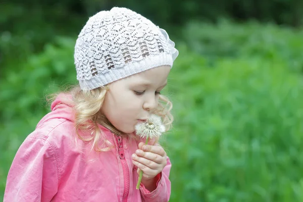 Little Caucasian girl holding and blowing on white dandelion pod — Stock Photo, Image