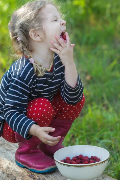 Niña rubia trenzada llevando mano a boca y disfrutando de comer frambuesas de jardín maduro —  Fotos de Stock