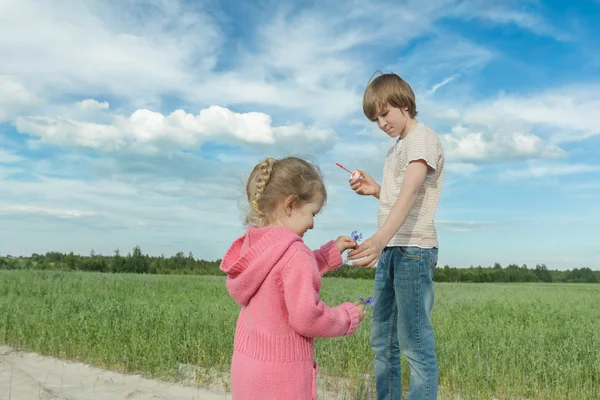 兄弟姐妹的孩子分享蓝色的矢车菊和肥皂泡沫的绿色夏燕麦田 — 图库照片