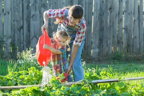 Piccola ragazza giardiniere aiutare la madre a versare letto orto con cetrioli verdi — Foto Stock