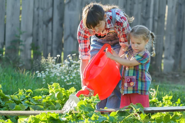 Kvinnan trädgårdsmästare att hjälpa sin dotter att hälla vegetabiliska trädgård säng med gurka — Stockfoto