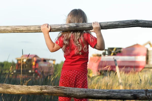 Nieuwsgierig boerderij meisje dragen polka dot kinderen pannen kijken naar veld met werkende rood maaidorsers — Stockfoto