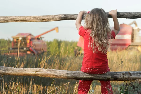 Sitting girl observing farm field with red working combine harvester — Stock Photo, Image