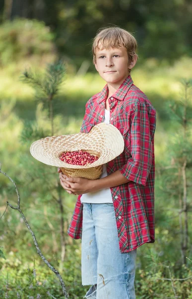 Portrait of standing boy holding red wildberries — Stock Photo, Image