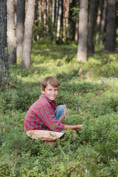 Leende pojke plocka bär i en stråhatt — Stockfoto