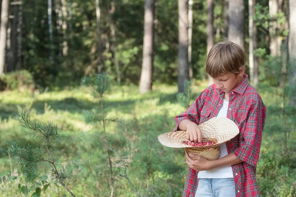 Tonårspojke smak färska röda wildberries — Stockfoto