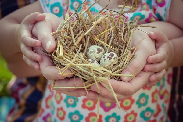 People of two generations holding nest in palms — Stock Photo, Image