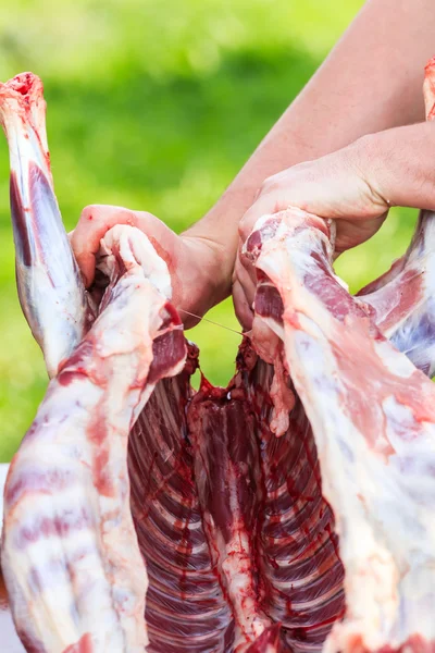 Cutting process of young lamb carcass — Stock Photo, Image