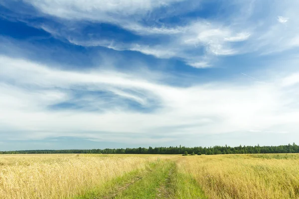 Nubi di agrumi sul cielo azzurro sopra il campo di segale e la strada sterrata — Foto Stock