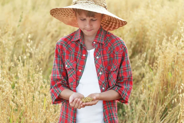 Genç çiftçi çocuk portresi yulaf veya Avena sativa tohum götürdü avuç içi kontrol ediyor Stok Fotoğraf