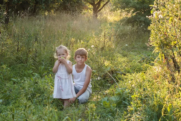 Retrato de verano de los niños hermanos están en el huerto de manzanas — Foto de Stock