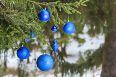 Karlı çam dal üzerinde asılı açık Noel masmavi parlak önemsiz şey süsler