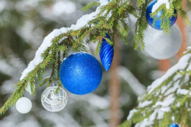 Noel tatil parlak baubles gümüş ve mavi süsler açık havada karlı köknar dalları