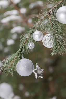 Canlı yeşil dallarında baubles ile Noel süsleri çam ve yıldız