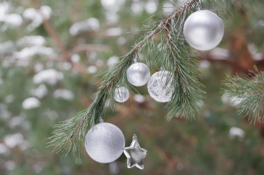 Herdem yeşil çam yemyeşil dalları ile Noel süsler baubles ve yıldız