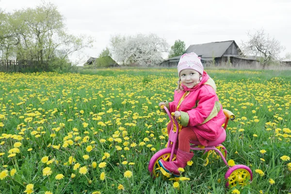 Retrato de larga duración de una niña conduciendo un ciclo rosa y amarillo a través de la pradera de dientes de león en flor de primavera —  Fotos de Stock