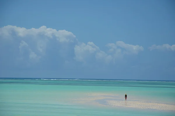 Playa Paradise — Foto de Stock